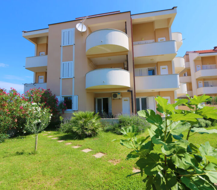 Premium Apartment